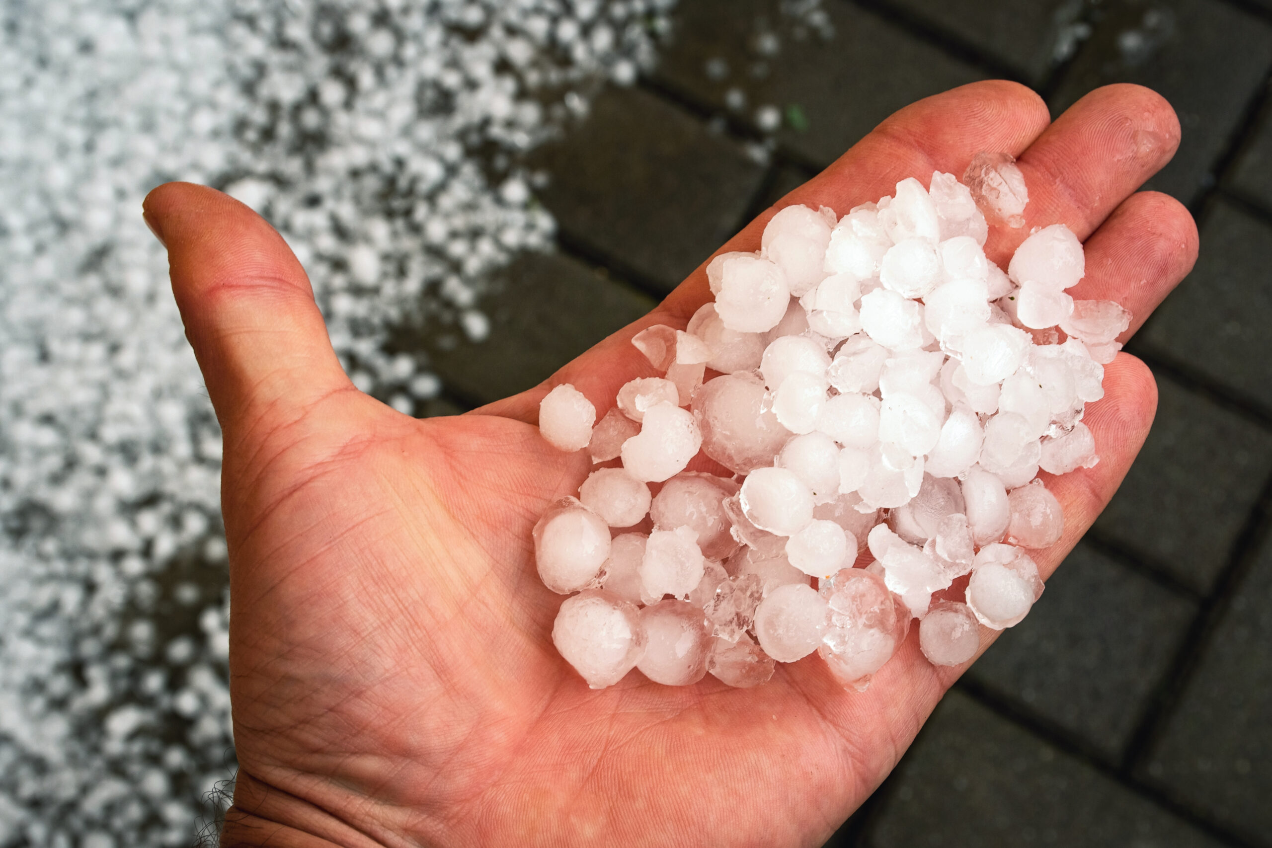 vecteezy_small hail in hand_2175732 1 scaled